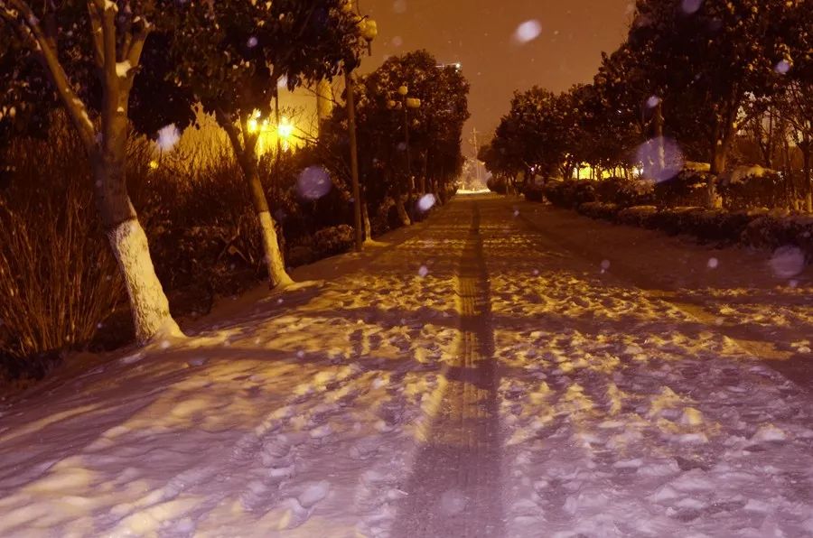 魚臺晚上的雪景也美麗,快來賞雪