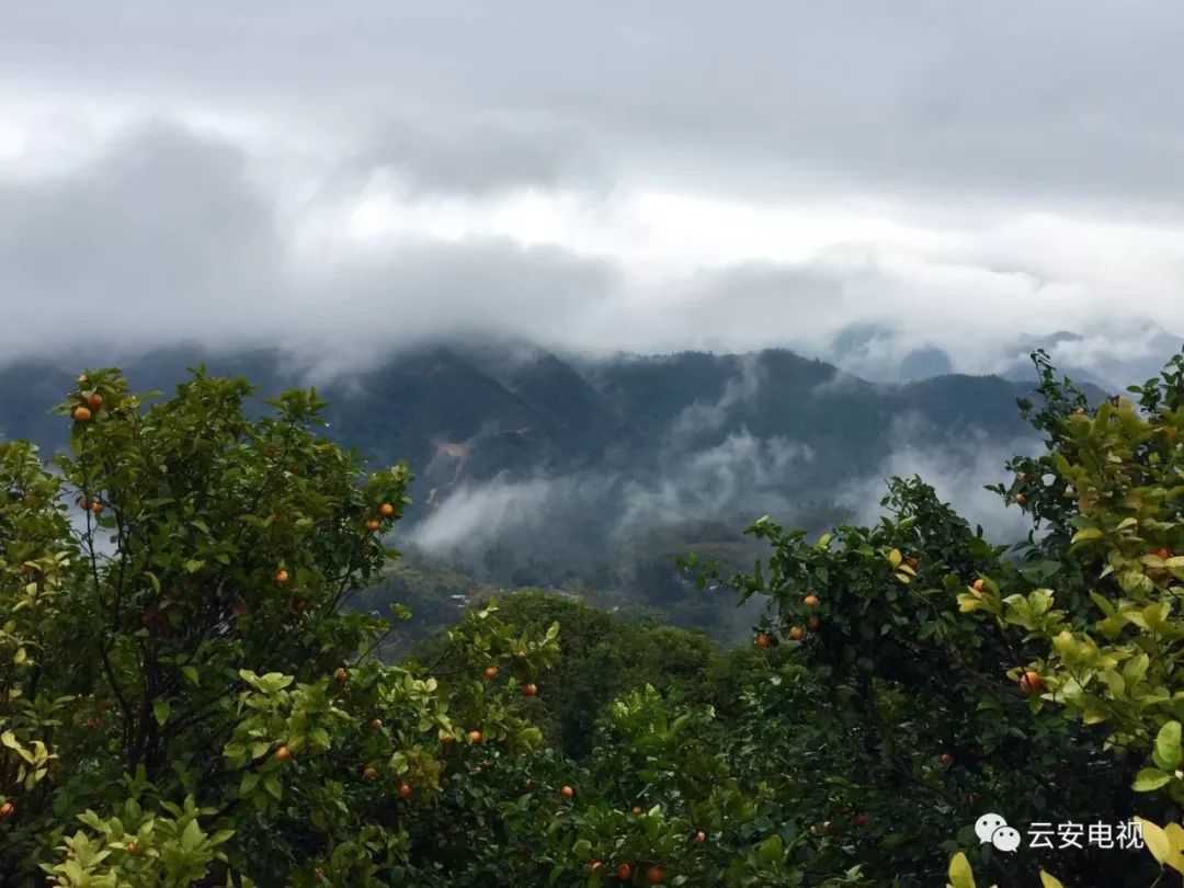 雲浮溼冷天氣雲浮近百名文藝家勇攀雲霧山