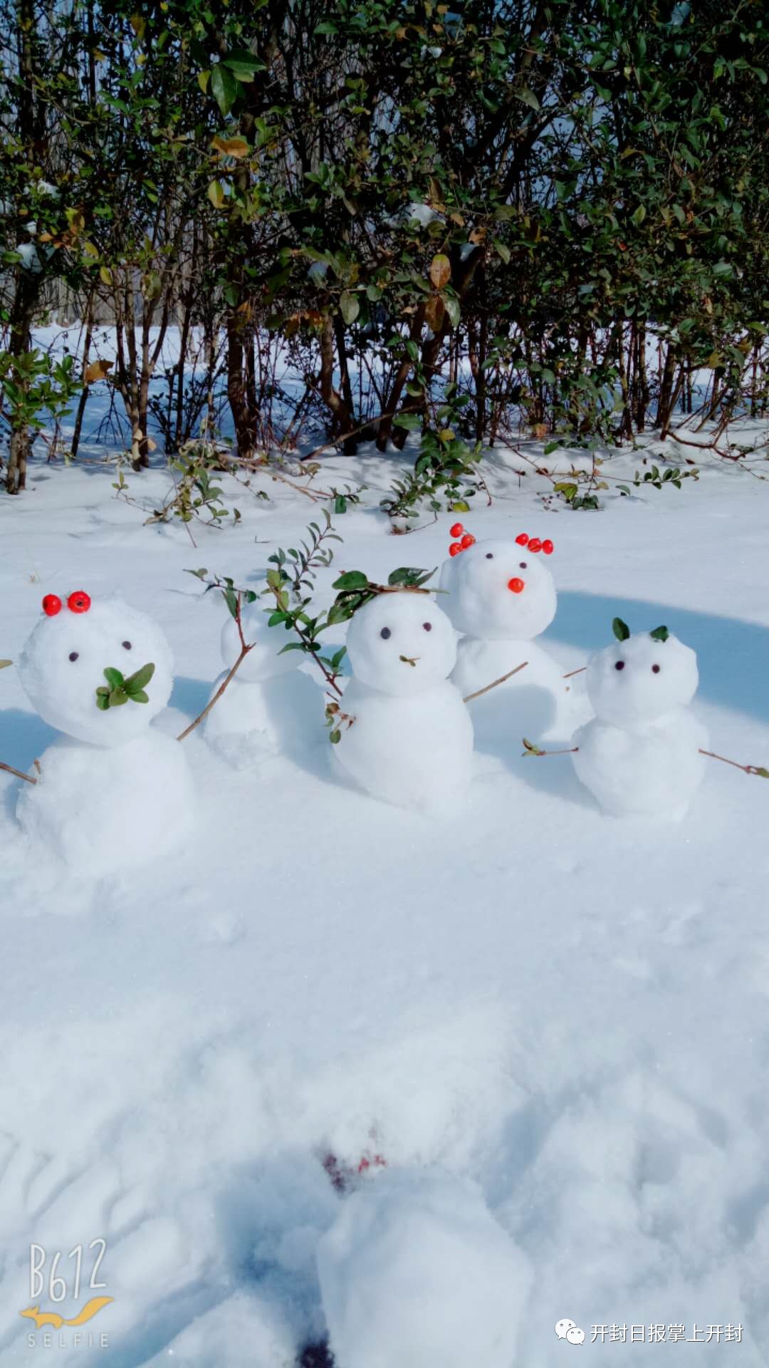 开封堆雪人大赛投票了!快来看看哪个最萌!