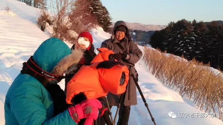 老師說出大片全靠等嬉雪雪村合影留念攝影/王玉巖,張 巍,王桂華