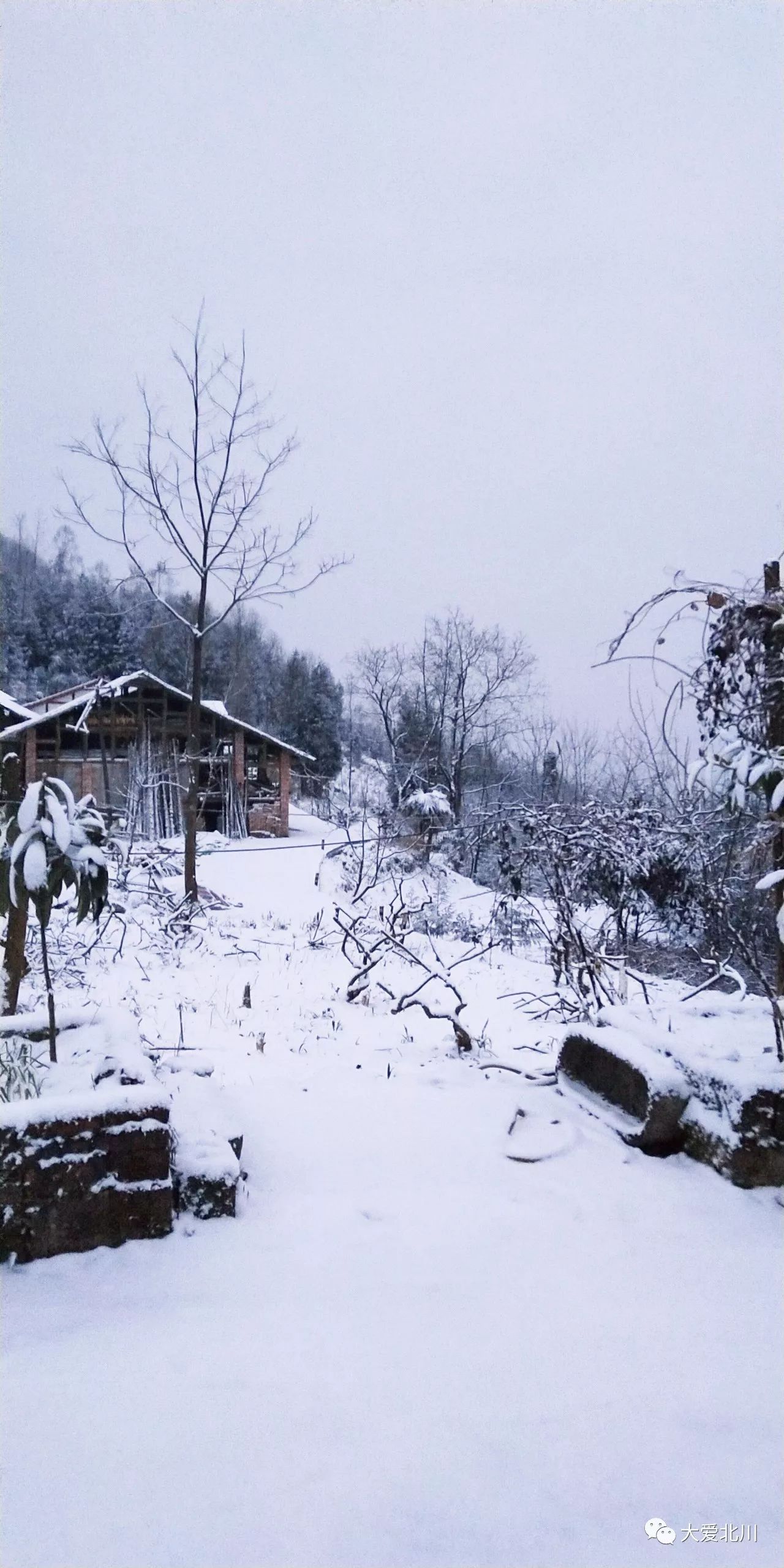 北川雪世界上图片