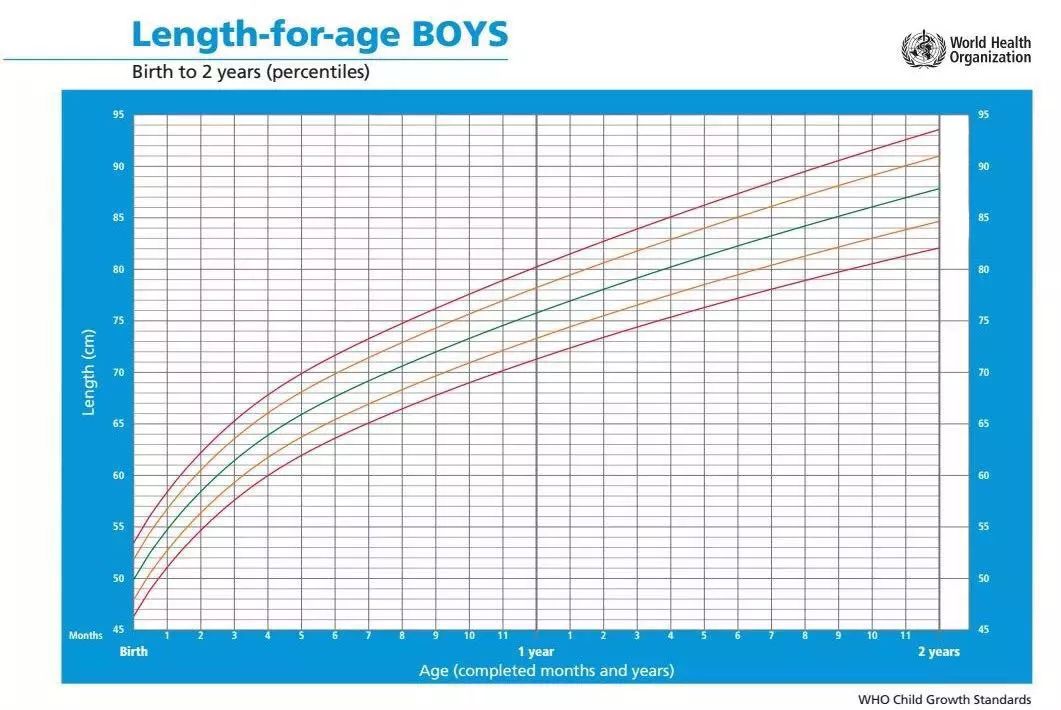 男孩子生长曲线图图片