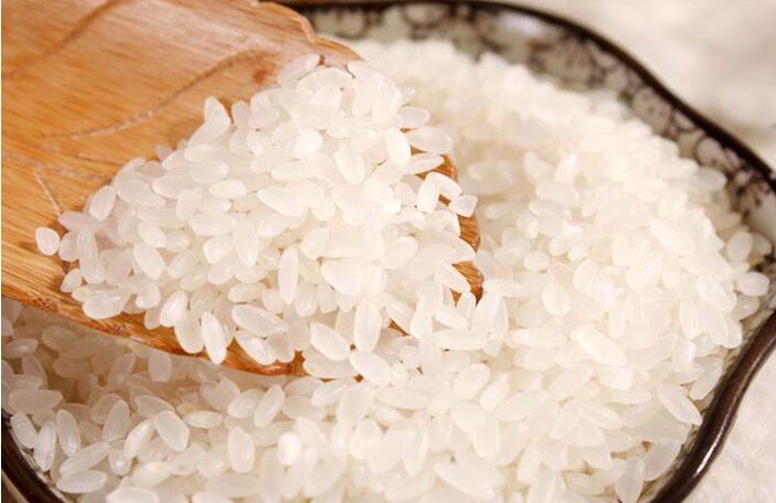 绥粳18水稻图片