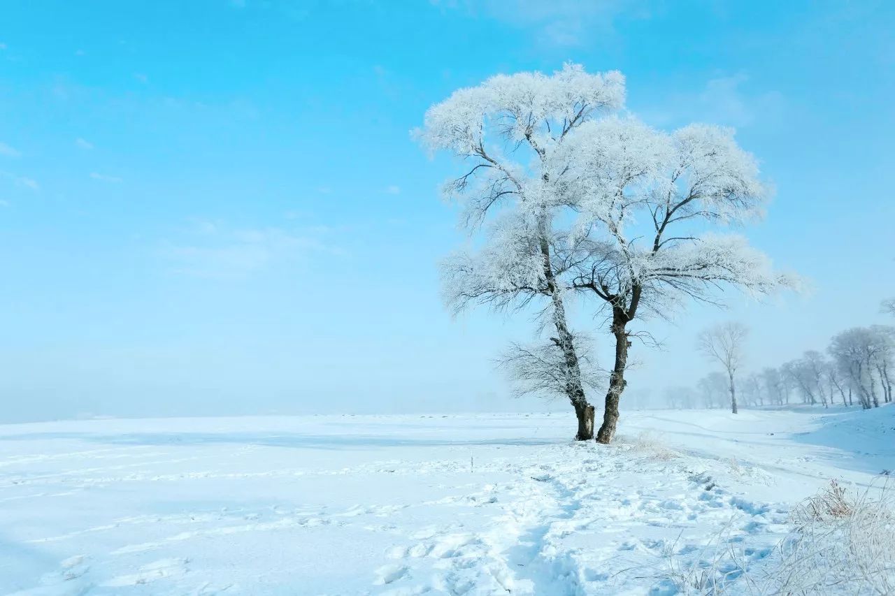 忘记坑爹的雪乡,这里才是国内最佳赏雪地,秒杀日本北海道的雪景!