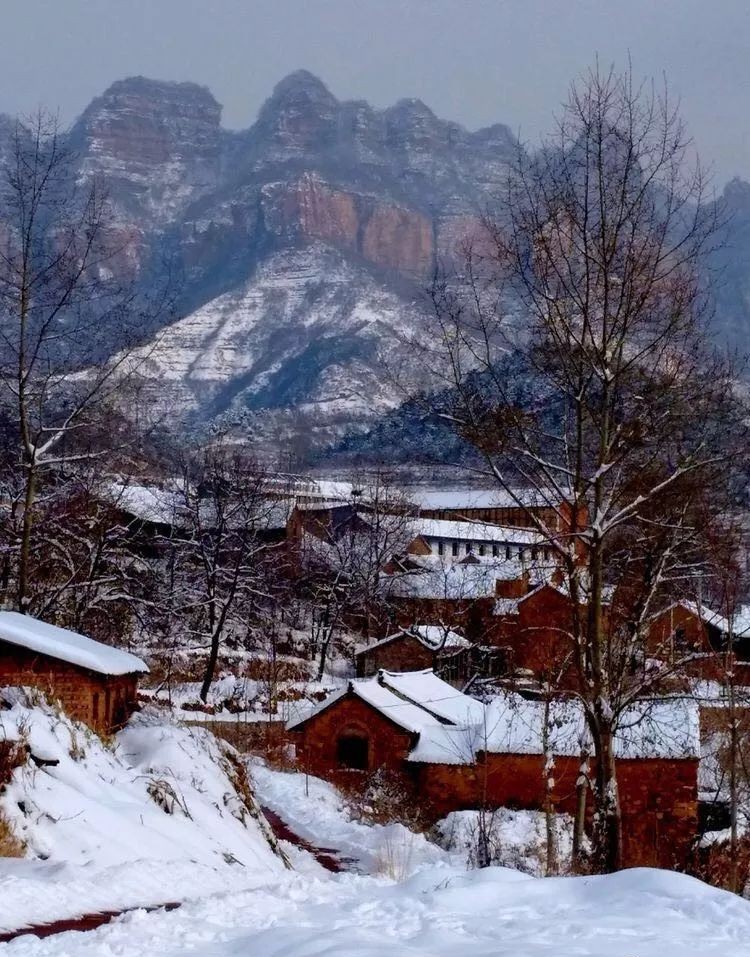 偃师温雪景与释永旭图片