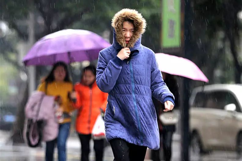 寒风冷雨图图片