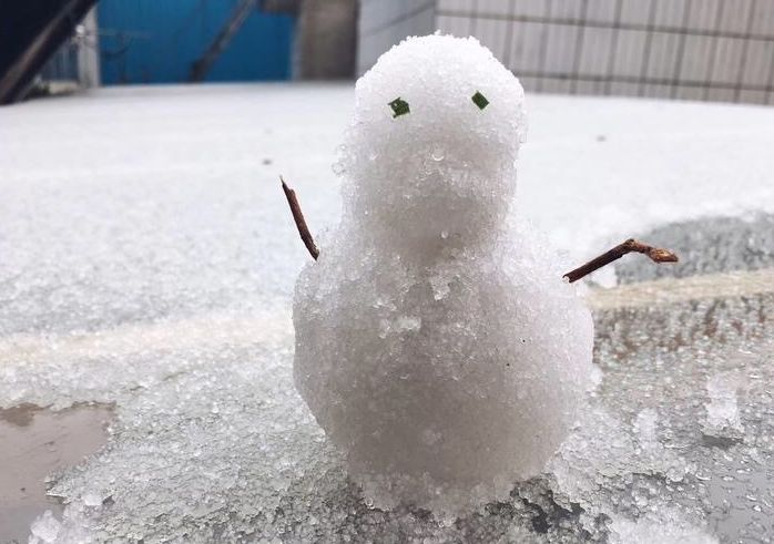 小馒头也是馒头 为什么小米粒雪不是雪 就是雪!就是雪!就是雪!