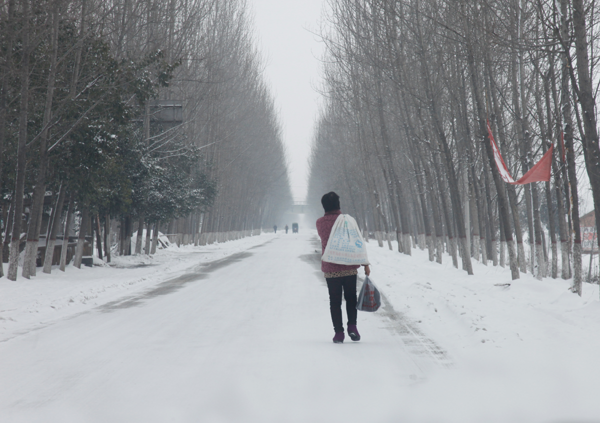 雪天背影图片