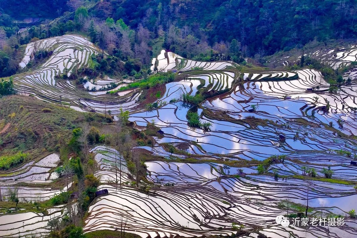 元陽梯田主要由壩達景區,老虎嘴景區,多依樹景區,箐口景區4部分組成.