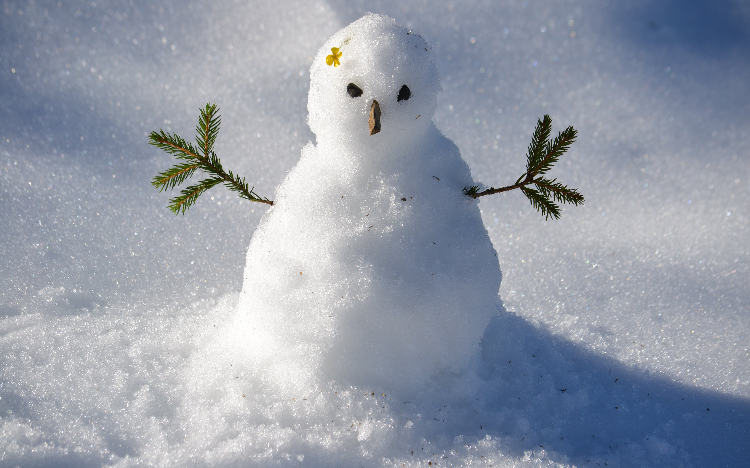 雪人实景照片图片