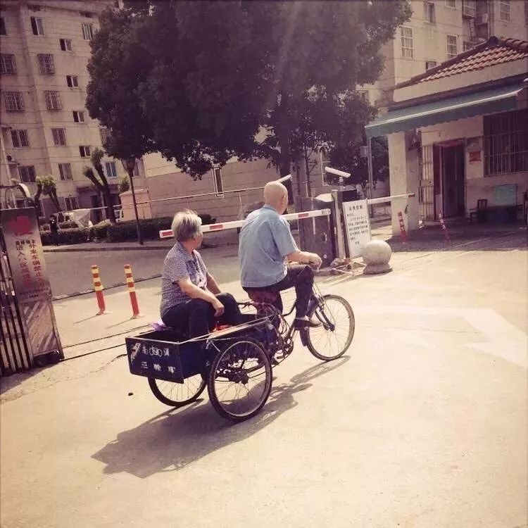 老伴一个白发苍苍的老爷爷骑着三轮车阳光灿烂的午后08剩下的只是我无