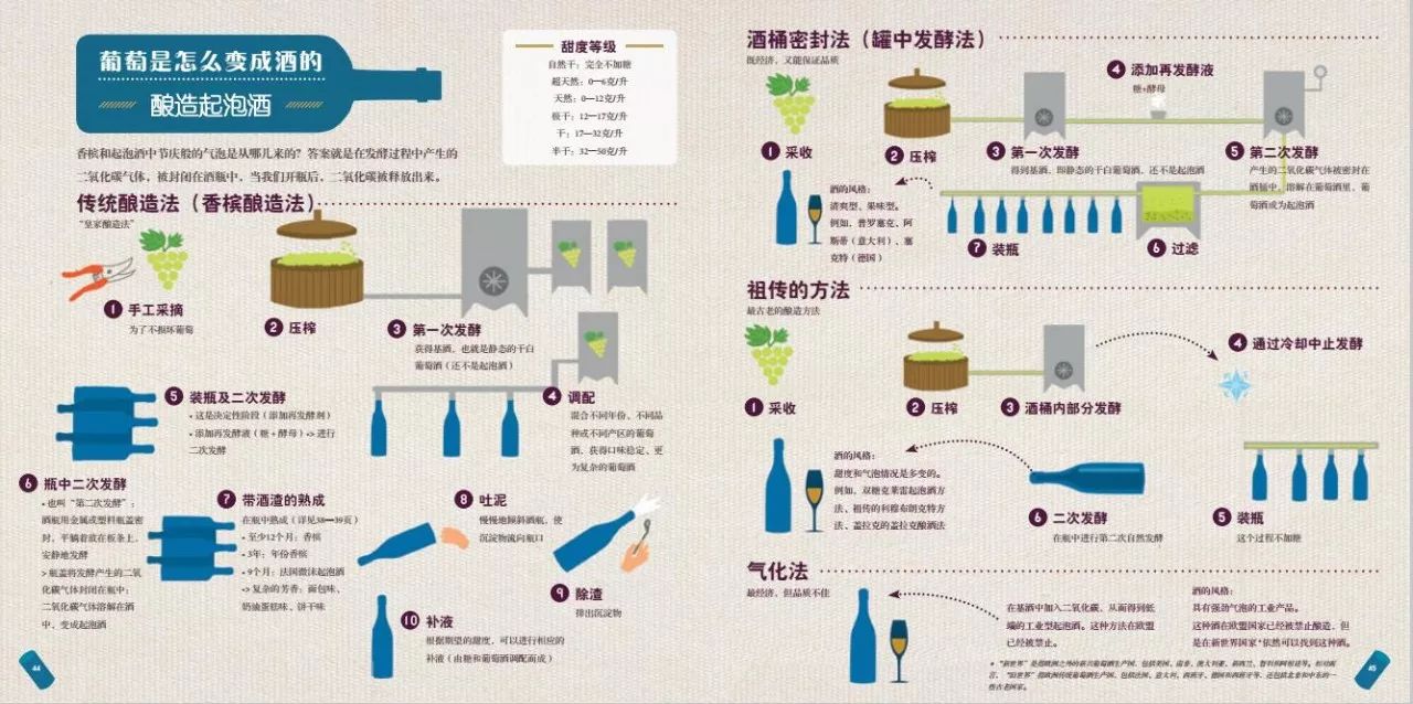 圖解| 葡萄酒到底是怎麼釀造出來的?