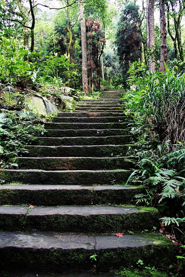 2018年重庆登山步道指南(地址 简介)