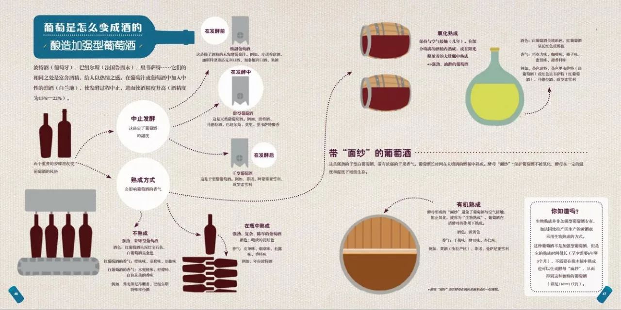 圖解| 葡萄酒到底是怎麼釀造出來的?