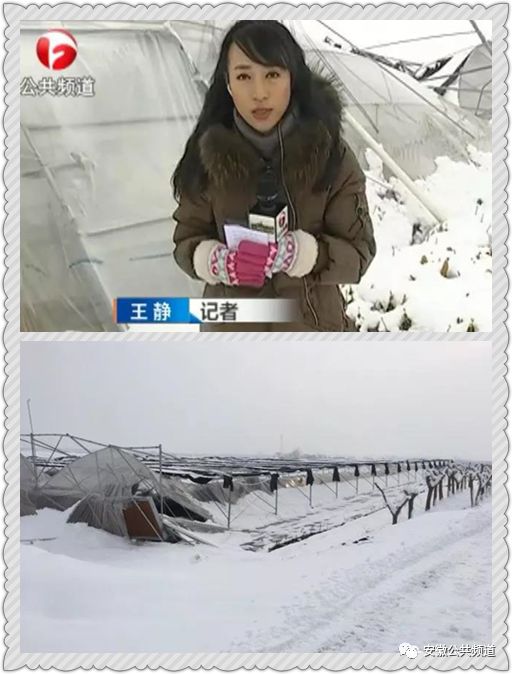 sng随时直播直击各地雪情公共频道多路记者255分钟的直播内容五档直播