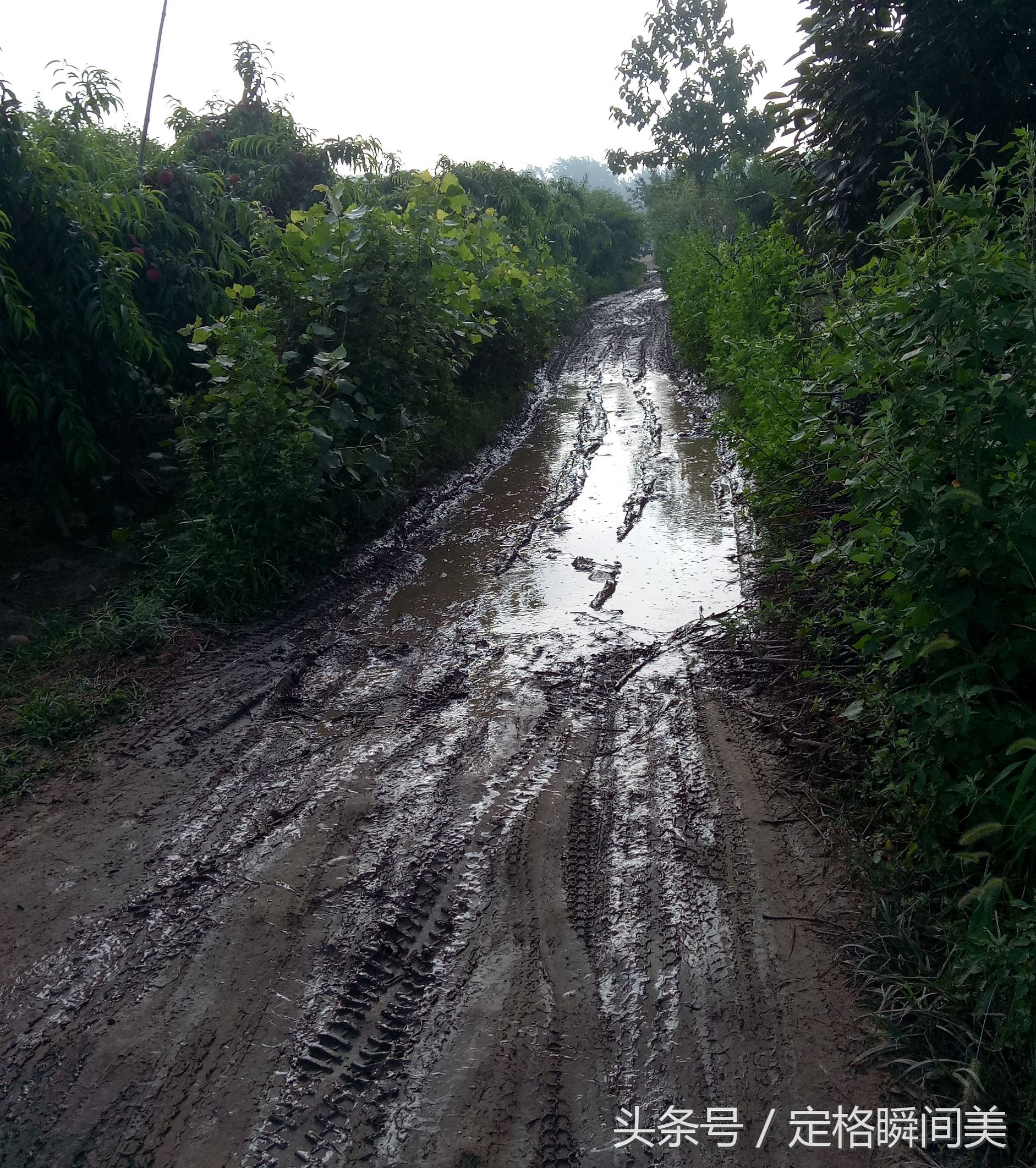 這村裡家家戶戶住上了小洋樓 唯獨就怕下雨 老農說了三句話