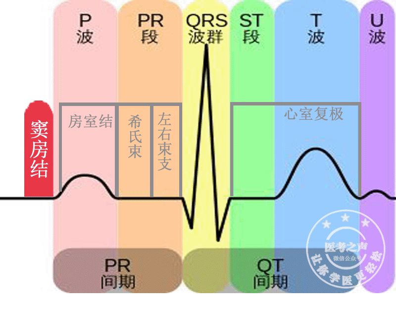 房室結 →正常心電傳導的路徑是這時候就不太平了,就會心律失常