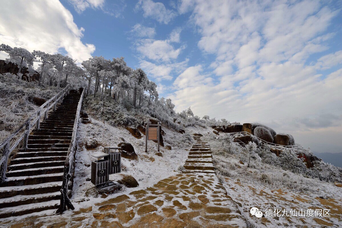 看真的雪,2018第一場雨霧凇,在九仙山