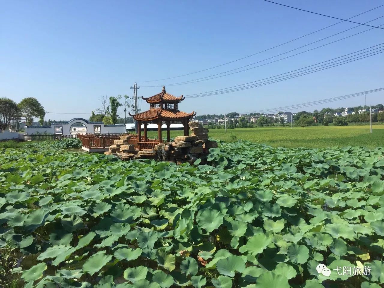 弋阳县秀美乡村景点图片