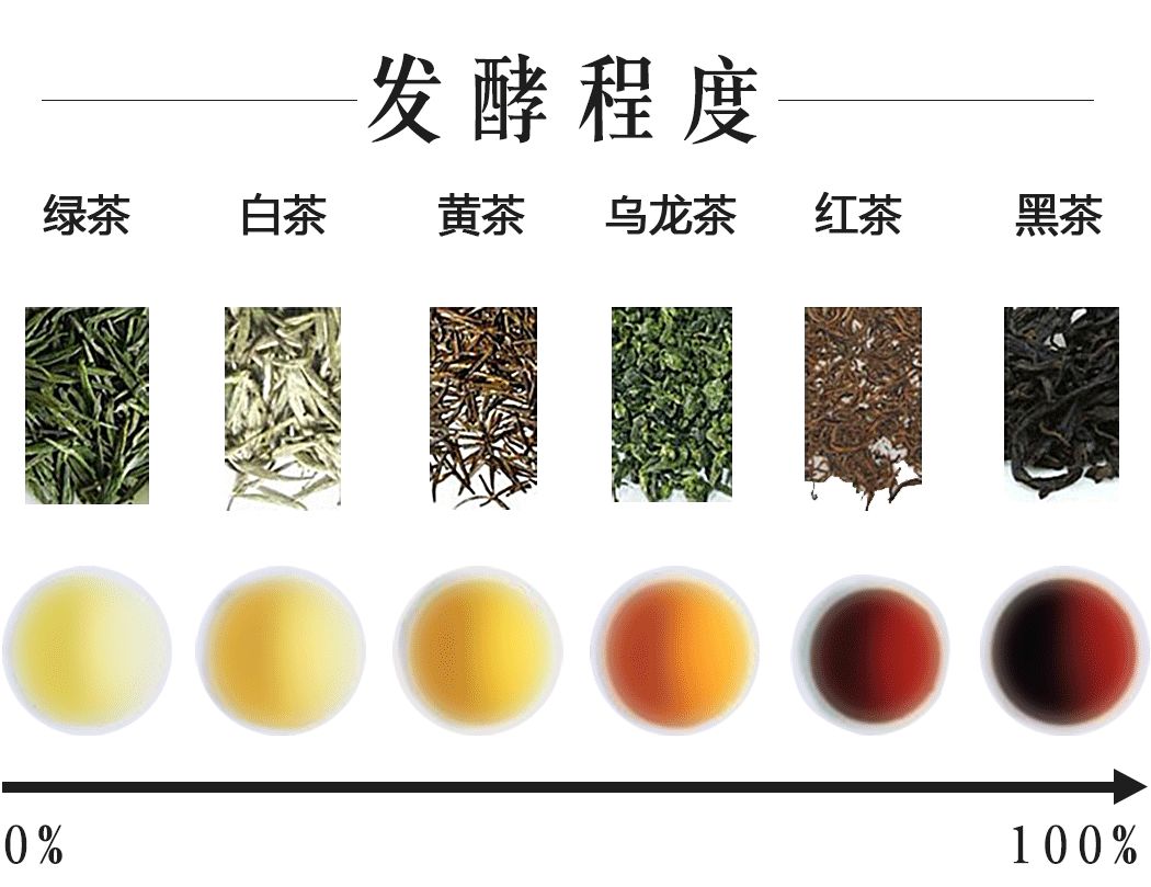 分清六大茶類只要看這一點