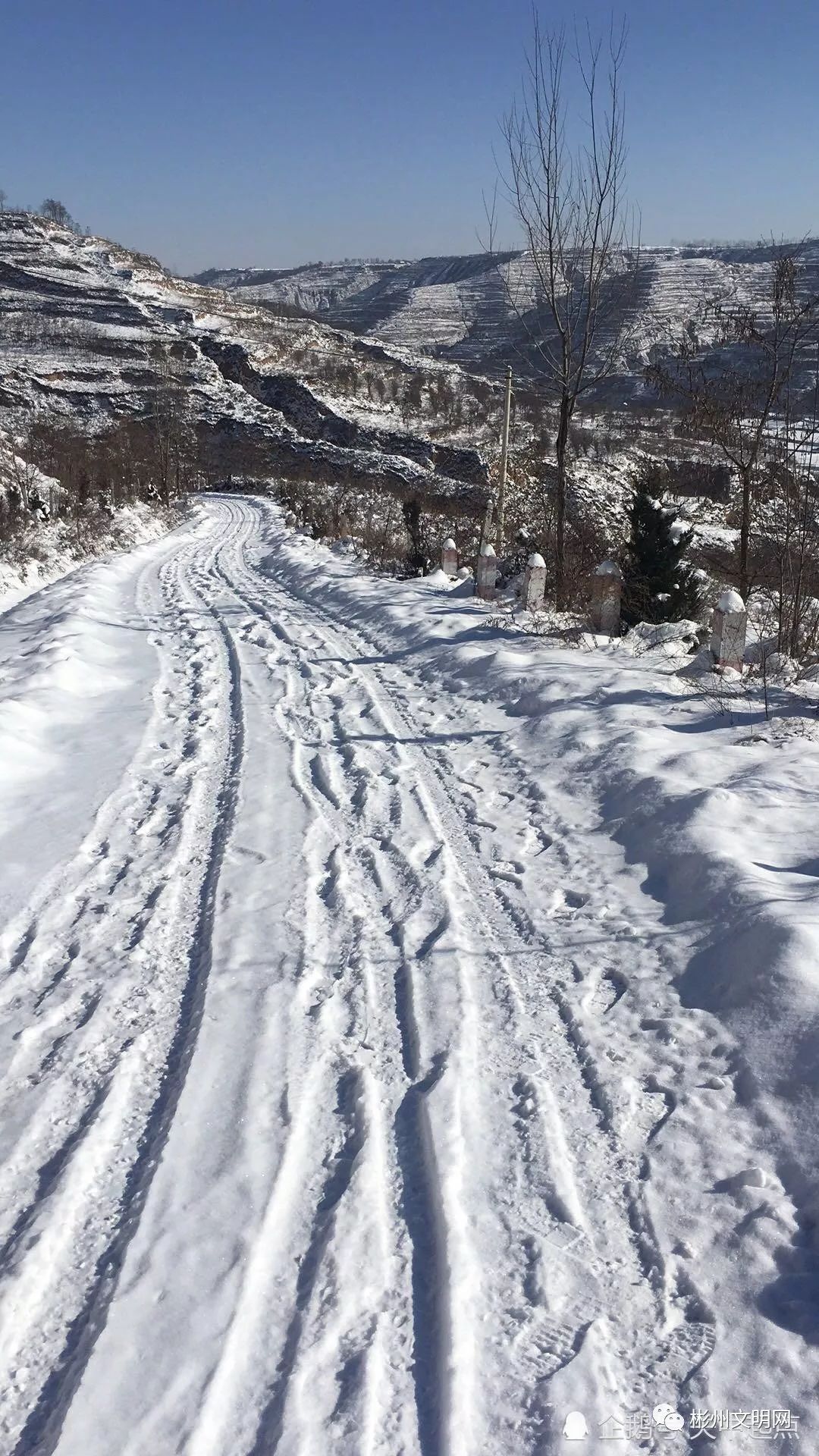 彬县蒋家河煤矿组织260余名职工为清理闫家河村道路积雪约10公里