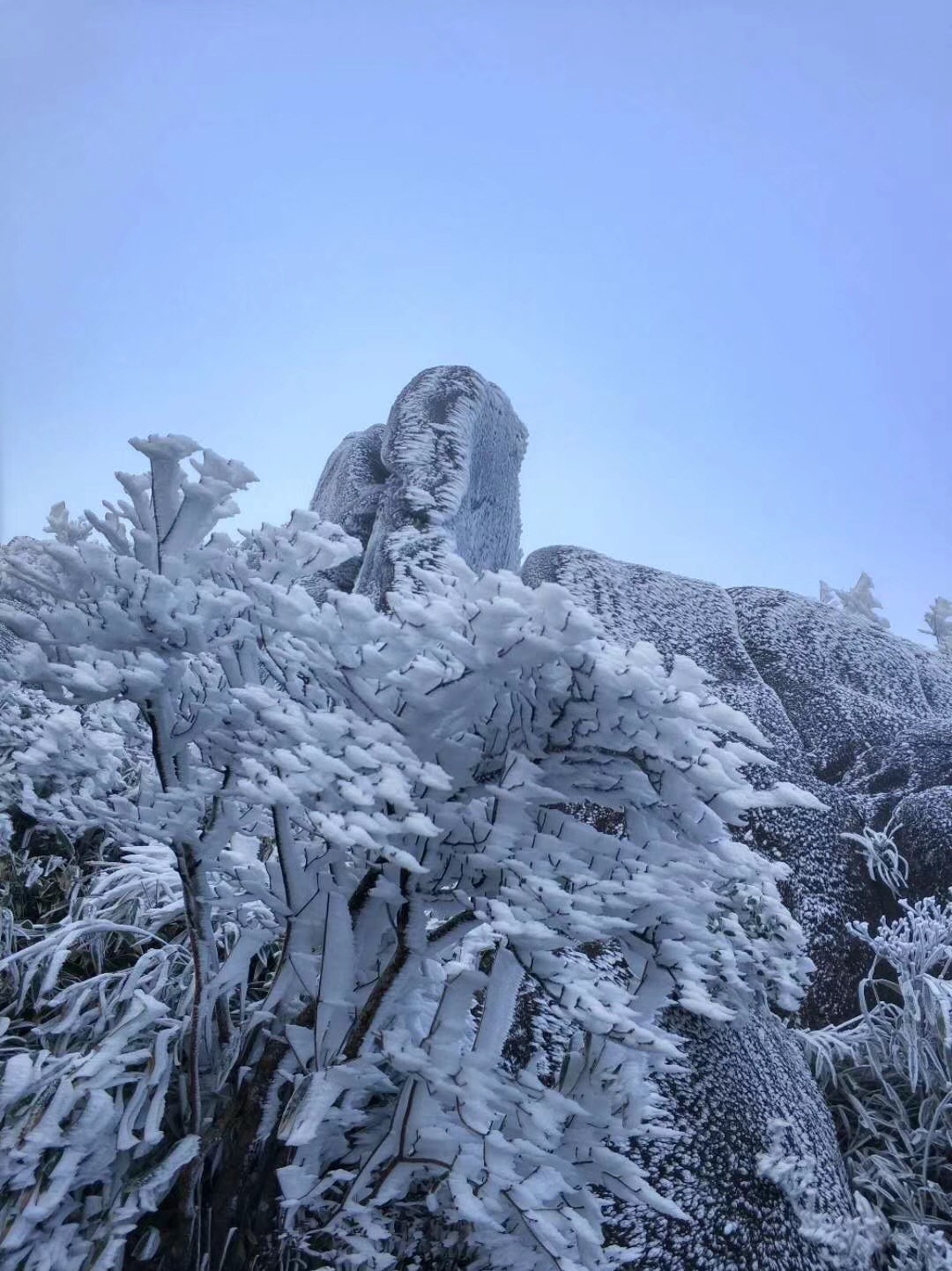 泉州下雪了九仙山迎來今年首場霧凇原來除了九仙山泉州還有這些地方也