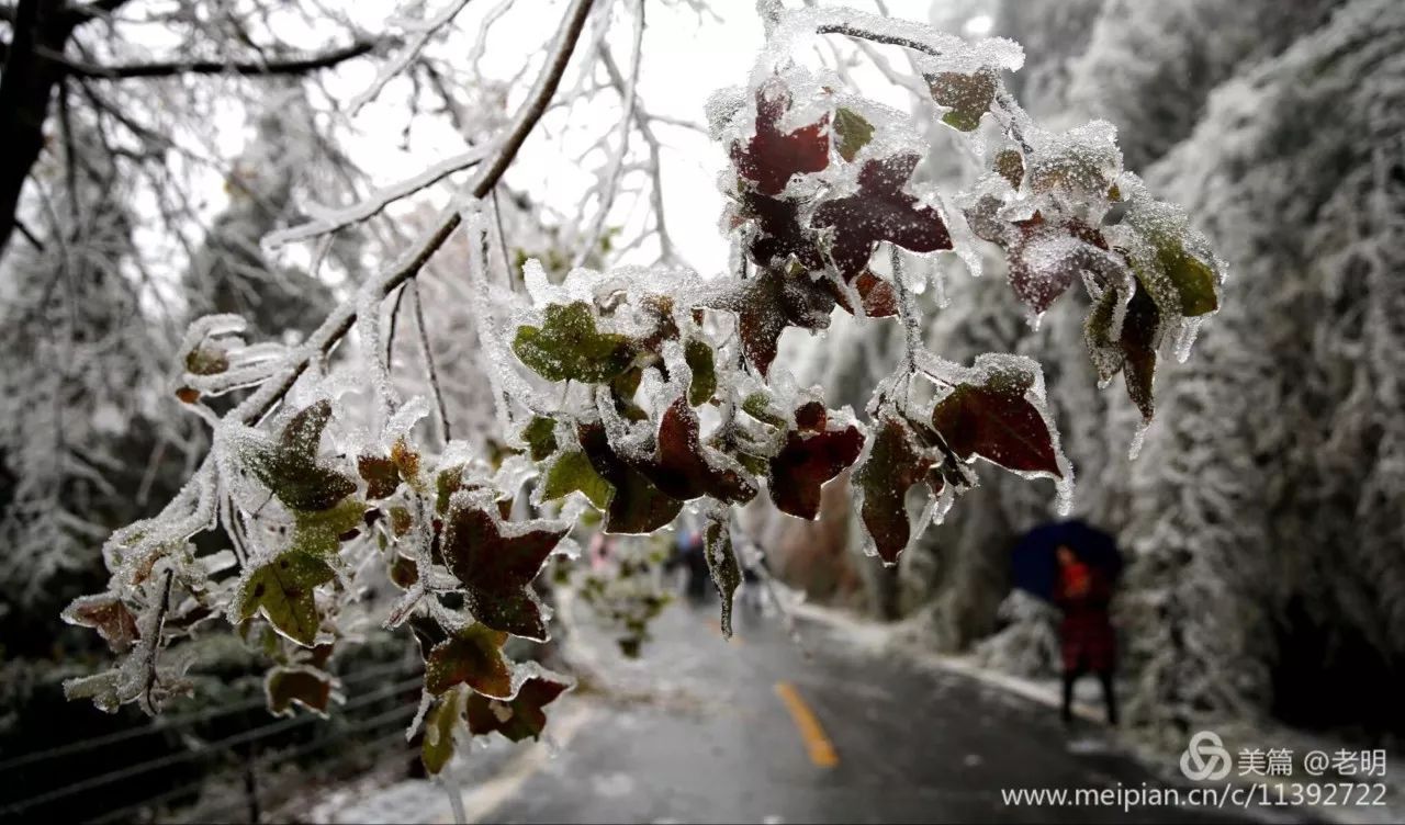 浮邱山雪景图片