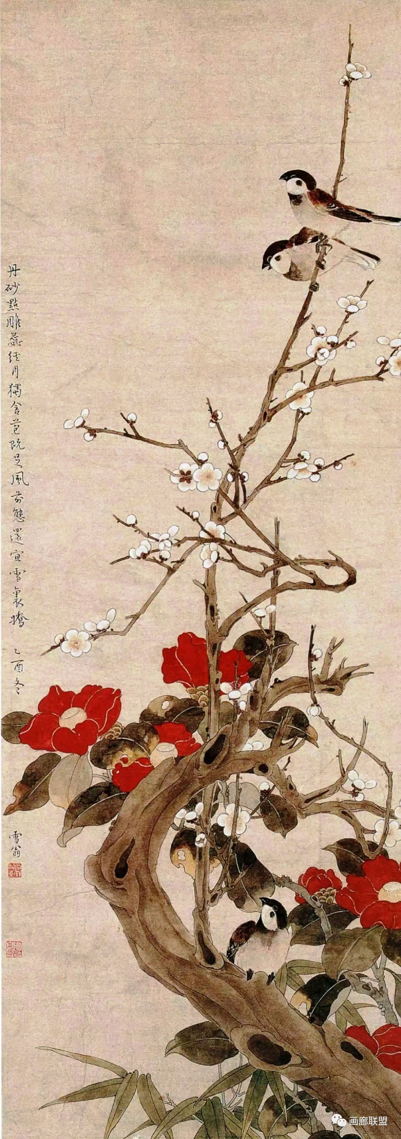 中国茶花画的发展阶段附名家画茶花