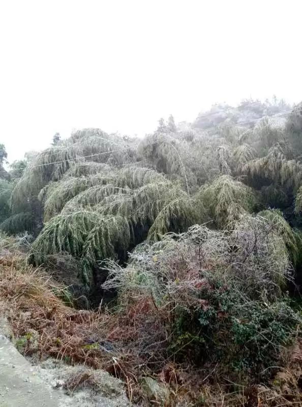 会昌雪莲山图片