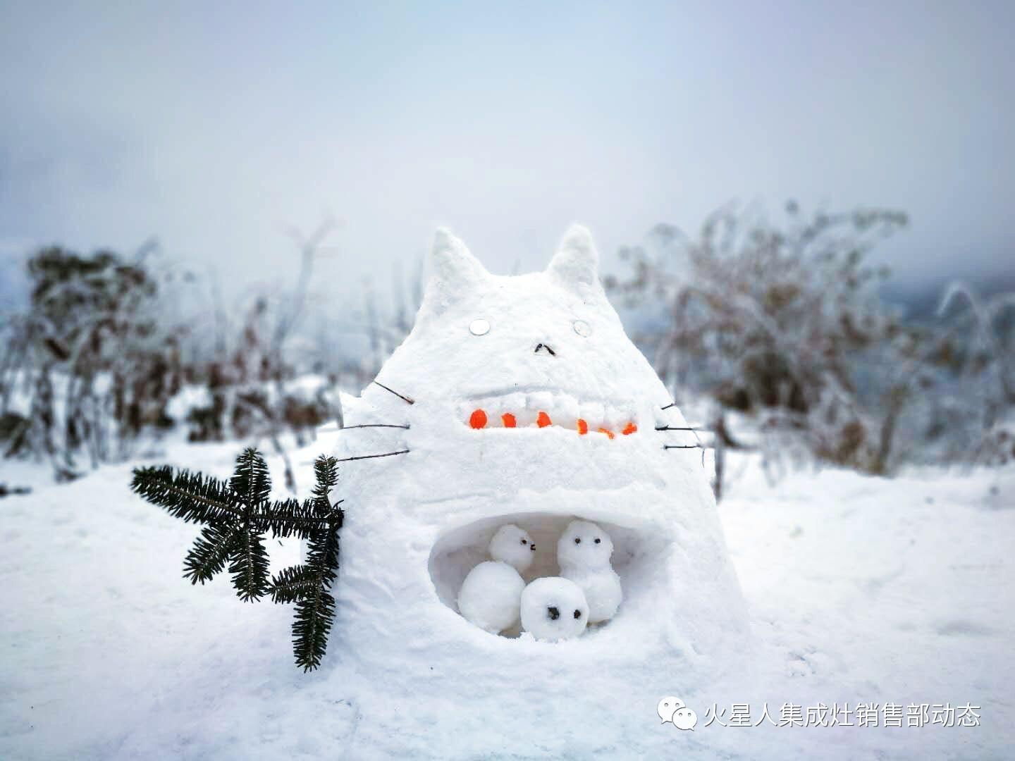 雪人獲獎沒有火星人集成灶我就是不結婚