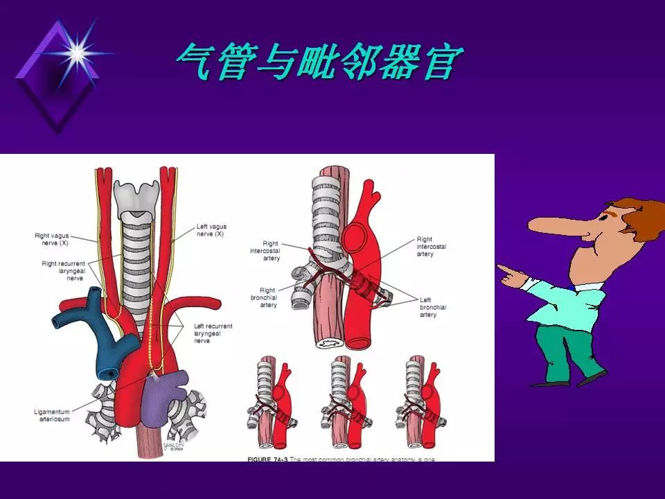 科普周周讲 长期不明原因的刺激性咳嗽