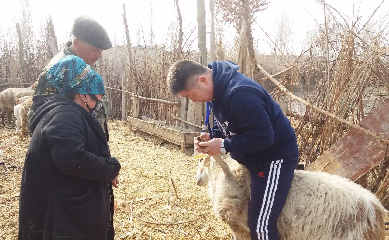 巴图巴义尔村民需要我那我就继续服务基层