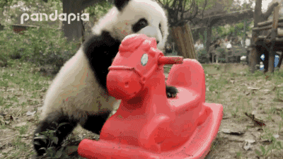 大熊猫坐木马的表情包图片