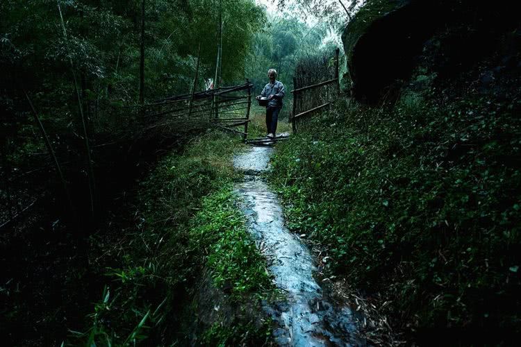 四川深山老林隐居图片图片