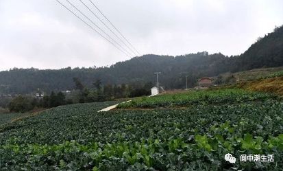 阆中市石龙镇位于阆中市东南部,北邻河溪镇,东连宝马镇,南接洪山镇,朱