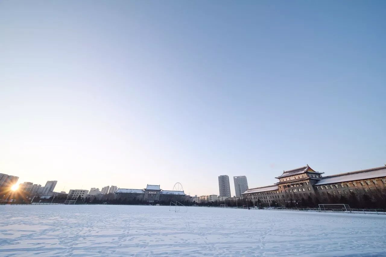 高小微:哈爾濱冬季校園雪景大pk!你最喜歡哪所大學?