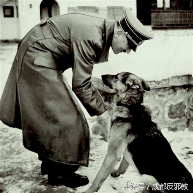 希特勒和他的爱犬布隆迪