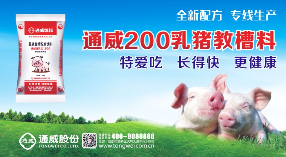 经典猪饲料广告图片