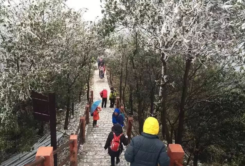 佛山皂幕山又下雪了还有视频