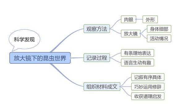 【思维导图】七月时节,当我们这里的昆虫,为口渴所苦,失望地在已经