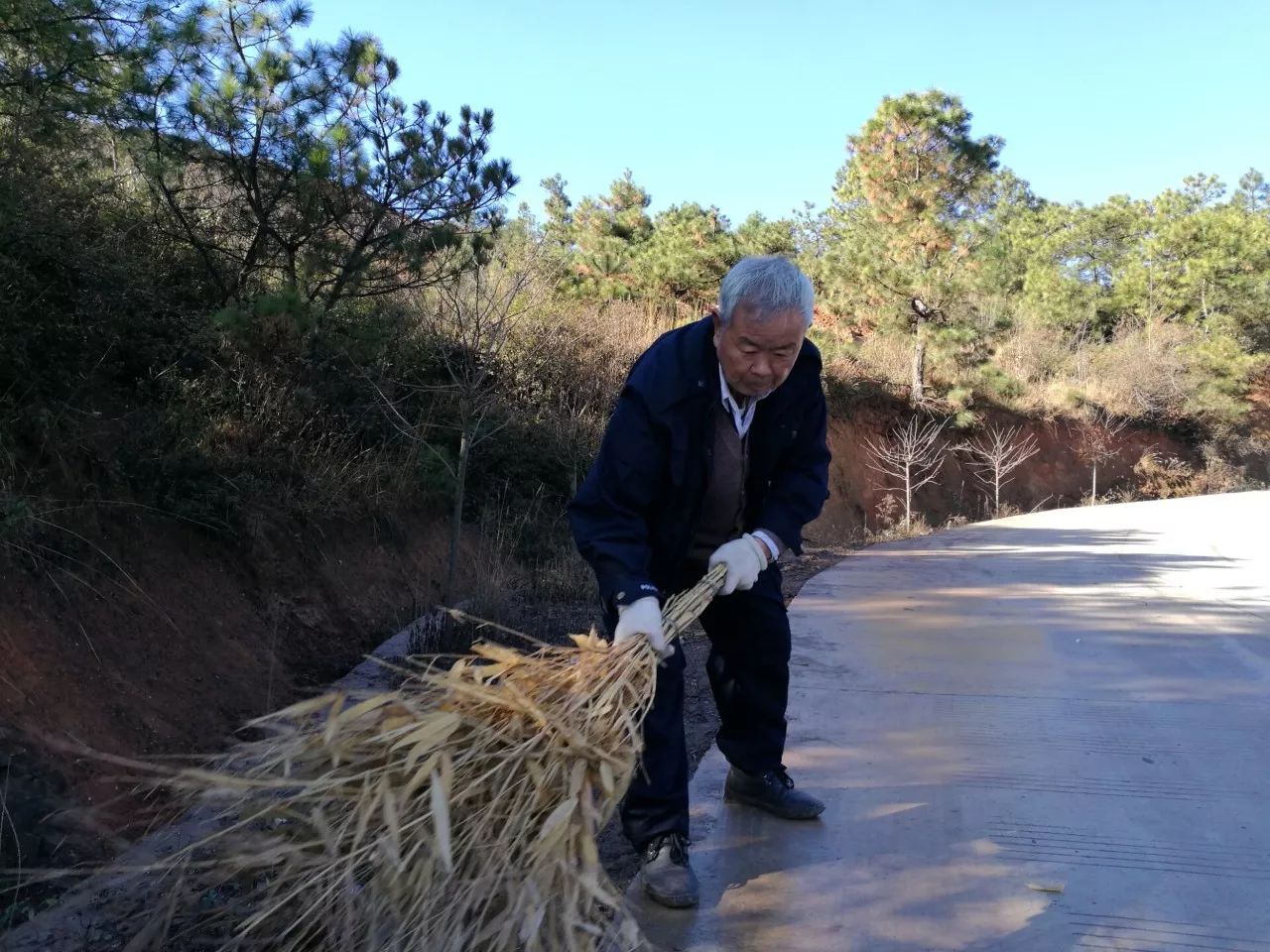 临淄环卫老人图片图片