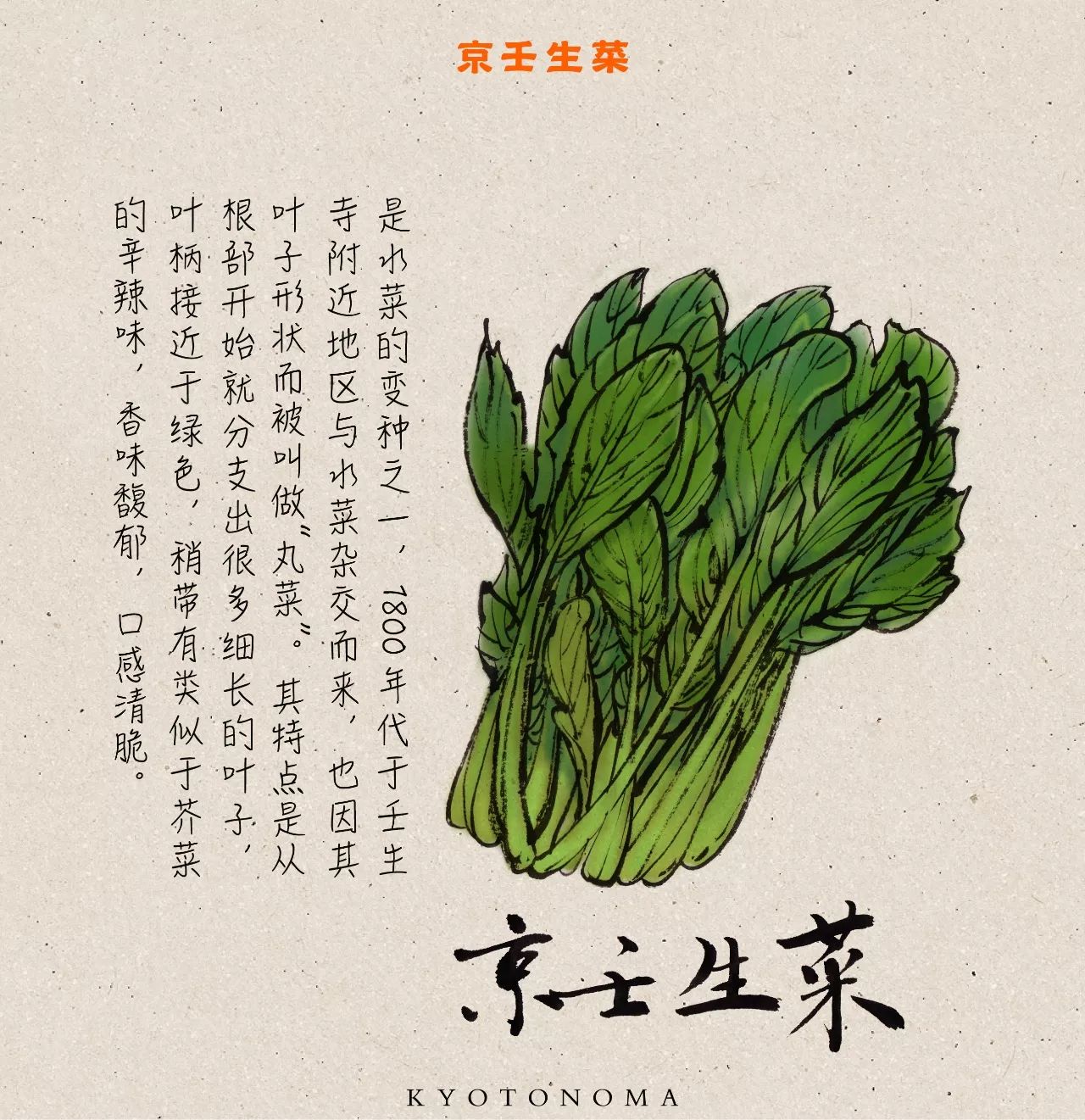 京都之味丨与古人共品的京都名物—京野菜