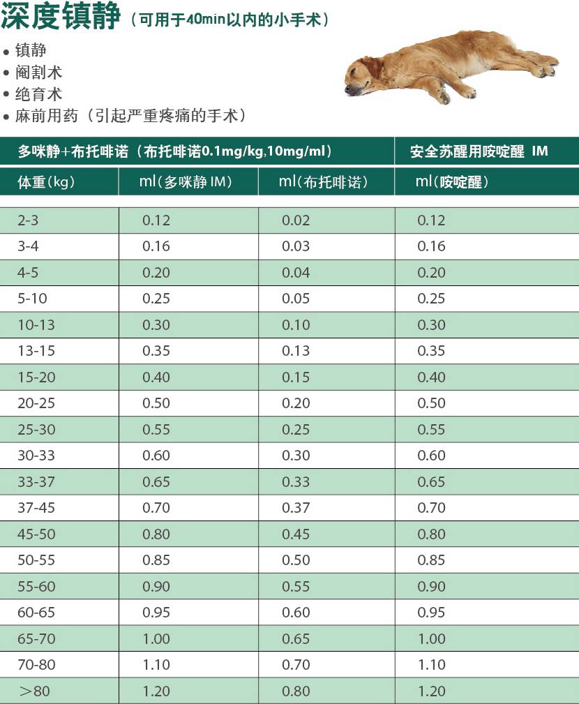 多咪静用法用量速查表