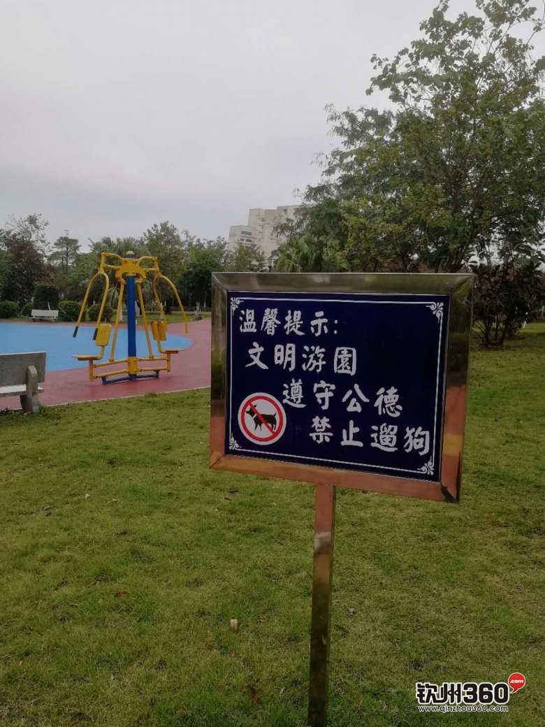 欽州的公園該不該禁止遛狗? 市民雖說法不一,但這一點必須遵守