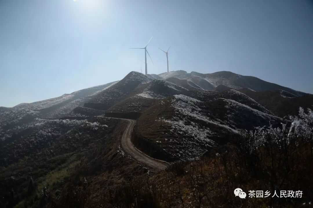 兴国高山现迷人雾凇景观