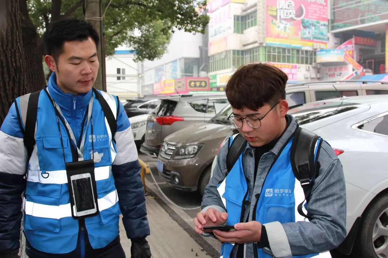 哈罗单车客服图片