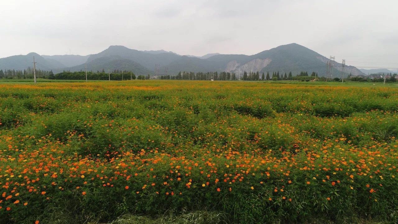 忘却工作的烦恼位于灵山风景区脚下的双浦原乡是时候来田野中亲近自然