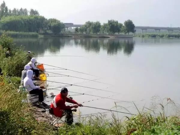 江河钓鱼八个要点