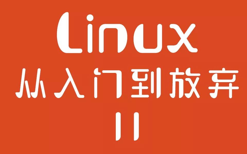 郡主从入门到放弃的编程之路