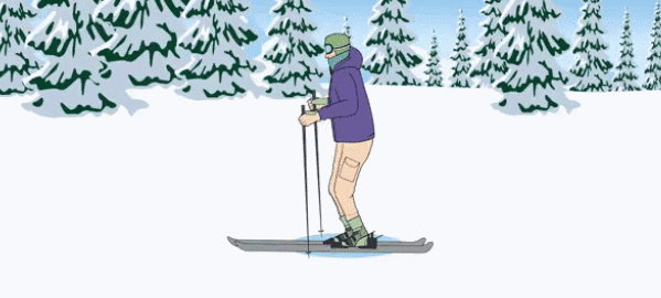 双板滑雪gif图片